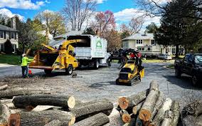Soil Testing and Treatment in Marmora, NJ